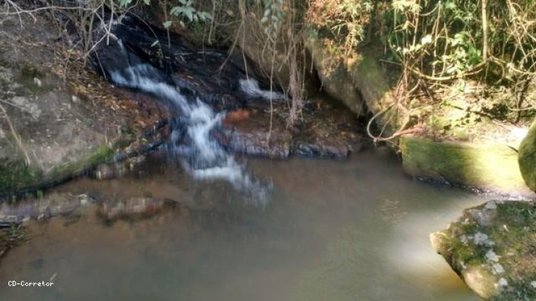 Imagem Terreno à Venda, 10.000 m² em Camanducaia Do Meio - Socorro