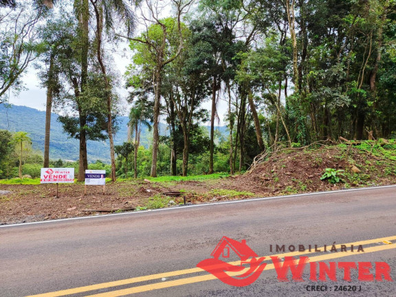 Imagem Terreno à Venda, 3 m² em Morro Das Batatas - Feliz Imagem Terreno à Venda, 3 m² em Morro Das Batatas - Feliz