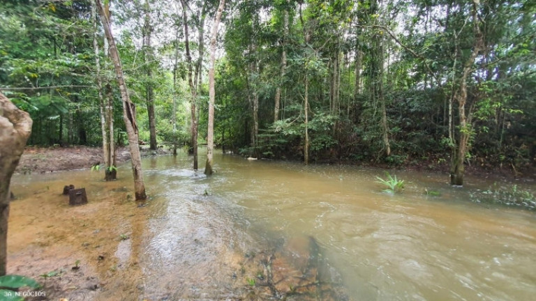 Imagem Chácara à Venda, 32 m² em Centro - Porto Velho Imagem Chácara à Venda, 32 m² em Centro - Porto Velho