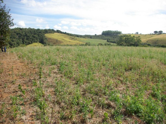 Imagem Imóvel à Venda, 435.600 m² em Zona Rural - Jacui Imagem Imóvel à Venda, 435.600 m² em Zona Rural - Jacui