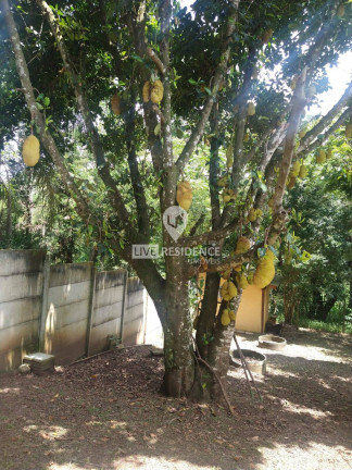 Imagem Chácara com 3 Quartos à Venda, 357 m² em Jardim Estância Brasil - Atibaia