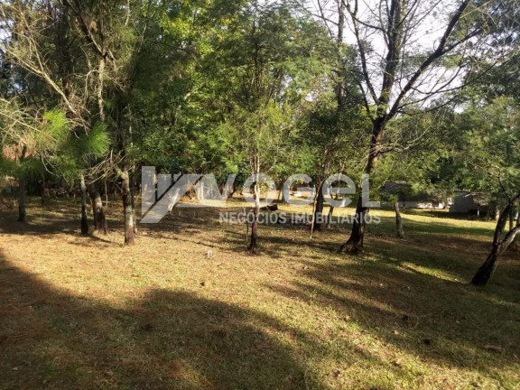 Imagem Imóvel à Venda, 1 m² em Bairro Não Informado - Sapucaia Do Sul Imagem Imóvel à Venda, 1 m² em Bairro Não Informado - Sapucaia Do Sul