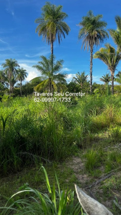 Imagem Imóvel à Venda, 250 m² em Zona Rural - Balsas Imagem Imóvel à Venda, 250 m² em Zona Rural - Balsas