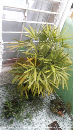 Imagem Casa com 4 Quartos à Venda, 319 m² em Jardim Eulalia - Taubaté