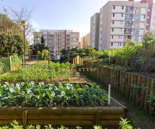 Imagem Apartamento com 3 Quartos à Venda, 80 m² em Vila Butantã - São Paulo