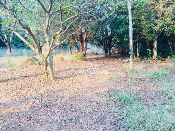 Imagem Imóvel à Venda, 12.000 m² em Cidade Nova - Igarapé Imagem Imóvel à Venda, 12.000 m² em Cidade Nova - Igarapé