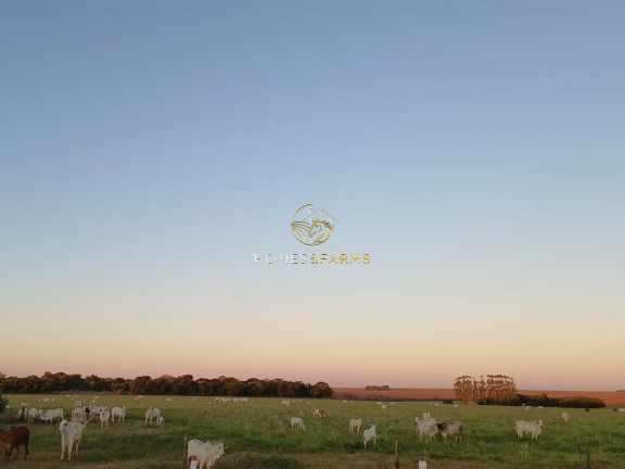Imagem Imóvel com 3 Quartos à Venda, 150 m² em Zona Rural - Nova Mutum Imagem Imóvel com 3 Quartos à Venda, 150 m² em Zona Rural - Nova Mutum