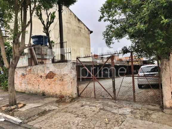 Terreno à Venda, 185 m² em Vila Maria Alta - São Paulo