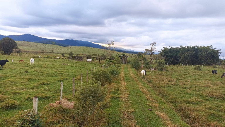 Imagem Fazenda à Venda, 100 m² em Estiva - Taubaté