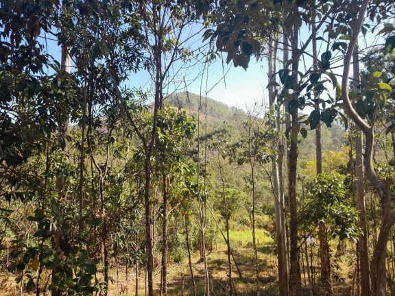 Imagem Imóvel à Venda,  em Centro - Lorena