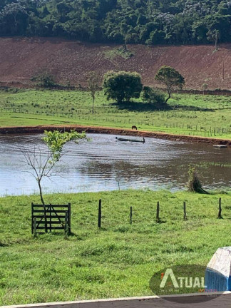 Imagem Fazenda à Venda, 900 m² em Morro Grande - Piranguinho