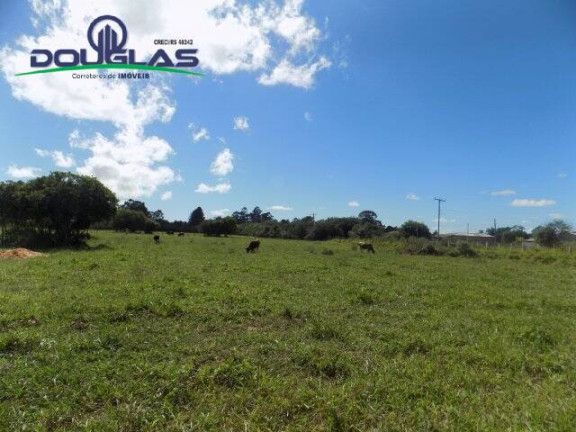 Imagem Terreno à Venda, 1.100 m² em águas Claras - Viamão Imagem Terreno à Venda, 1.100 m² em águas Claras - Viamão