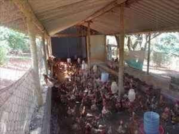 Imagem Chácara com 4 Quartos à Venda, 400 m² em Santa Rosa - Igarapé