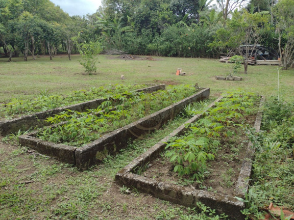 Chácara com 5 Quartos à Venda, 500 m² em Bairro Da Grama - Paraibuna