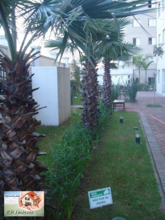 Imagem Apartamento com 2 Quartos à Venda, 55 m² em Nova Petrópolis - São Bernardo Do Campo Imagem Apartamento com 2 Quartos à Venda, 55 m² em Nova Petrópolis - São Bernardo Do Campo