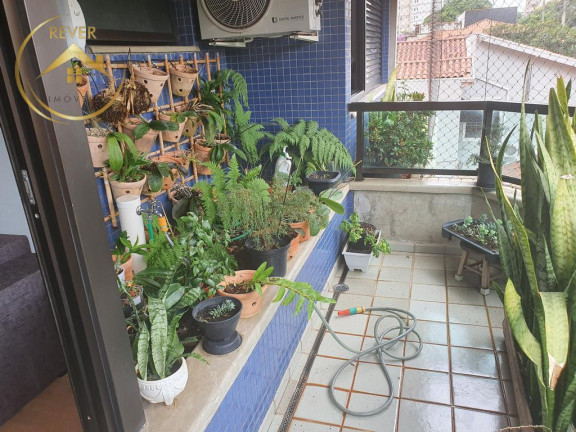Imagem Apartamento com 3 Quartos à Venda, 200 m² em Cambuí - Campinas Imagem Apartamento com 3 Quartos à Venda, 200 m² em Cambuí - Campinas