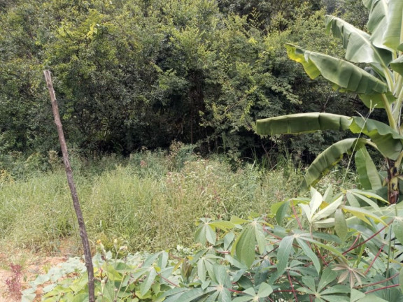 Imagem Chácara com 2 Quartos à Venda, 150 m² em Cocuera - Mogi Das Cruzes Imagem Chácara com 2 Quartos à Venda, 150 m² em Cocuera - Mogi Das Cruzes
