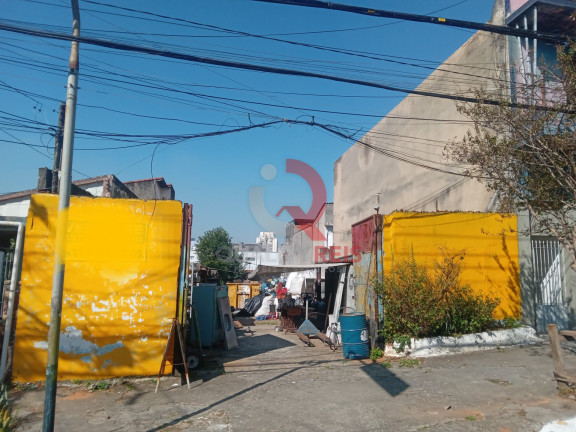 Terreno à Venda, 390 m² em Vila Maria Alta - São Paulo