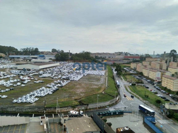 Imagem Apartamento com 2 Quartos à Venda, 44 m² em Cooperativa - São Bernardo Do Campo Imagem Apartamento com 2 Quartos à Venda, 44 m² em Cooperativa - São Bernardo Do Campo