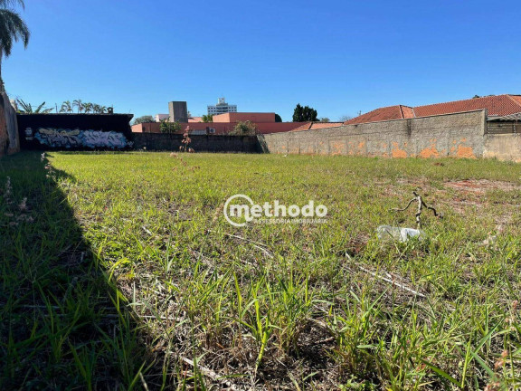 Imagem Terreno para Alugar, 1.064 m² em Taquaral - Campinas Imagem Terreno para Alugar, 1.064 m² em Taquaral - Campinas