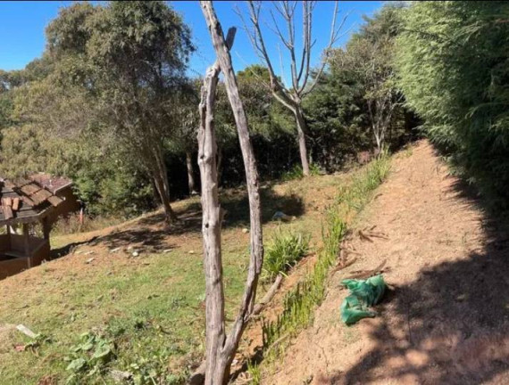 Imagem Terreno à Venda, 1.268 m² em Vila Inglesa - Campos Do Jordão Imagem Terreno à Venda, 1.268 m² em Vila Inglesa - Campos Do Jordão