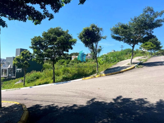 Imagem Terreno à Venda, 1.235 m² em Universitário - Bento Gonçalves Imagem Terreno à Venda, 1.235 m² em Universitário - Bento Gonçalves