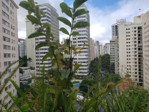 Imagem Apartamento com 2 Quartos à Venda, 81 m² em Paraíso - São Paulo Imagem Apartamento com 2 Quartos à Venda, 81 m² em Paraíso - São Paulo