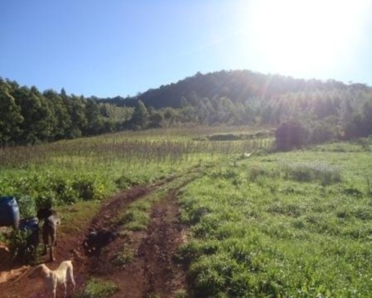 Imagem Terreno à Venda, 5 m² em Linha Nova - Linha Nova Imagem Terreno à Venda, 5 m² em Linha Nova - Linha Nova