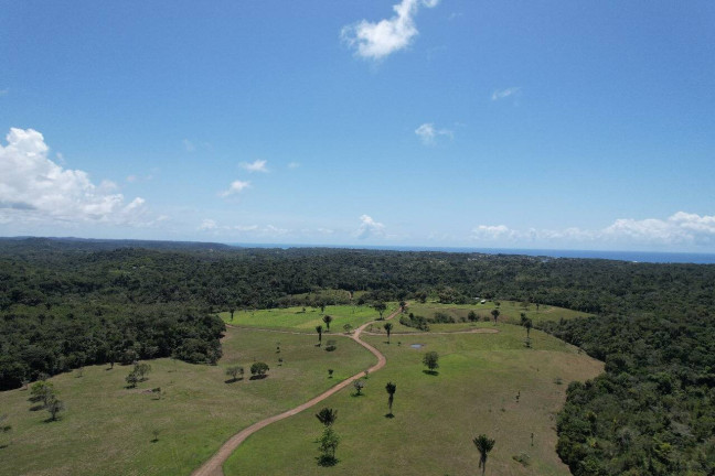 Imagem Chácara à Venda, 2 m² em Serra Grande - Uruçuca - Uruçuca Imagem Chácara à Venda, 2 m² em Serra Grande - Uruçuca - Uruçuca