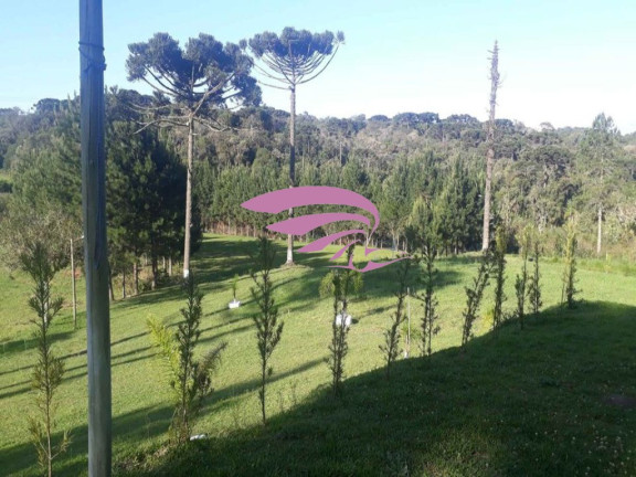 Imagem Imóvel à Venda, 25.892 m² em Borda Do Campo - São José Dos Pinhais Imagem Imóvel à Venda, 25.892 m² em Borda Do Campo - São José Dos Pinhais