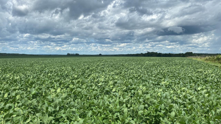 Imagem Fazenda à Venda, 963 m² em Rural - Rosário Oeste Imagem Fazenda à Venda, 963 m² em Rural - Rosário Oeste