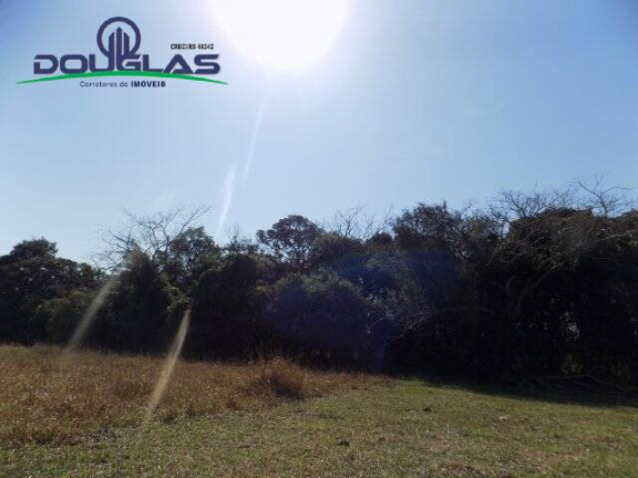 Imagem Chácara à Venda, 20.000 m² em águas Claras - Viamão Imagem Chácara à Venda, 20.000 m² em águas Claras - Viamão
