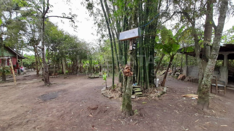 Imagem Ponto Comercial à Venda, em Volta Grande - Navegantes Imagem Ponto Comercial à Venda, em Volta Grande - Navegantes