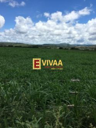 Imagem Fazenda à Venda, 21 m² em Novo São Joaquim Imagem Fazenda à Venda, 21 m² em Novo São Joaquim