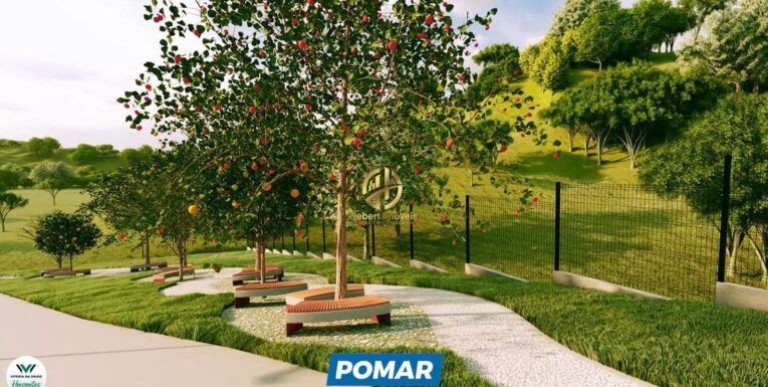 Imóvel