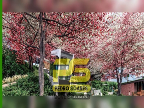 Imagem Casa com 4 Quartos à Venda, 290 m² em Bananeiras - Bananeiras
