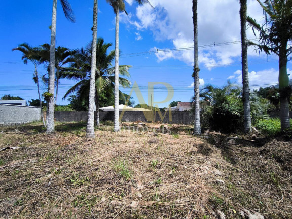 Imagem Terreno à Venda, 460 m² em Fundos - Biguaçu Imagem Terreno à Venda, 460 m² em Fundos - Biguaçu