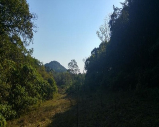 Imagem Terreno à Venda, 3 m² em Fazenda Pirajá - Nova Petrópolis Imagem Terreno à Venda, 3 m² em Fazenda Pirajá - Nova Petrópolis