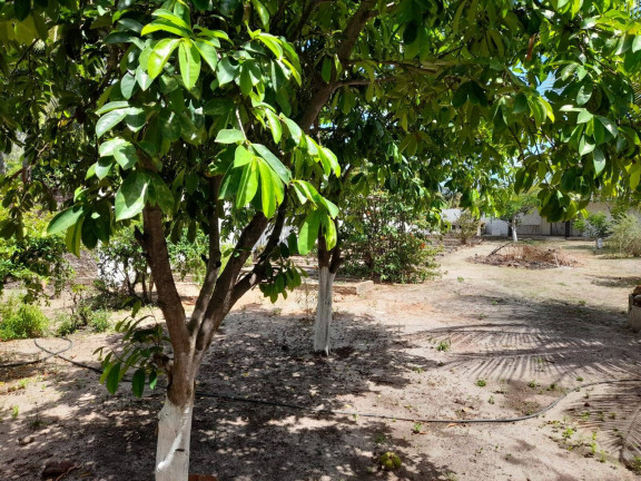 Imagem Terreno à Venda, 1 m² em Barra Do Cunhaú - Canguaretama Imagem Terreno à Venda, 1 m² em Barra Do Cunhaú - Canguaretama