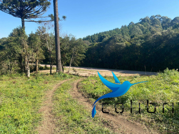 Imagem Terreno à Venda, 5.220 m² em Trigolândia - Piên Imagem Terreno à Venda, 5.220 m² em Trigolândia - Piên