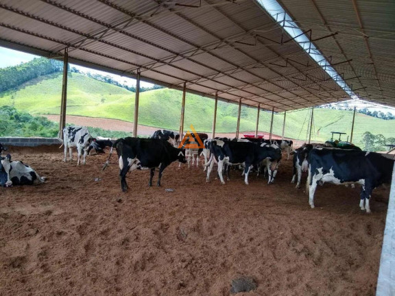 Imagem Fazenda à Venda, 30 m² em Correia De Almeida - Barbacena Imagem Fazenda à Venda, 30 m² em Correia De Almeida - Barbacena