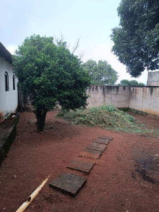 Imagem Casa com 3 Quartos à Venda, 200 m² em Jardim Petrópolis - Goiânia Imagem Casa com 3 Quartos à Venda, 200 m² em Jardim Petrópolis - Goiânia