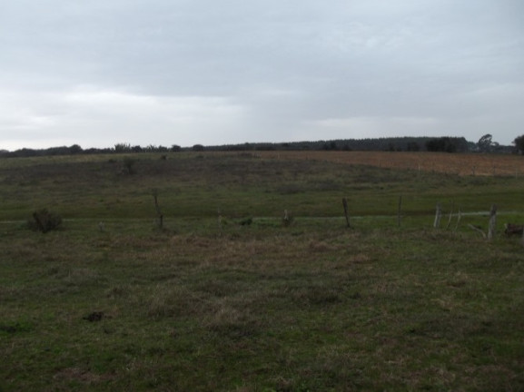 Imagem Chácara com 1 Quarto à Venda, 108.000 m² em Itapuã - Viamão