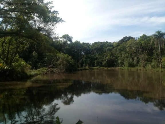 Imagem Terreno à Venda, 4 m² em Pinhal Alto - Nova Petrópolis Imagem Terreno à Venda, 4 m² em Pinhal Alto - Nova Petrópolis