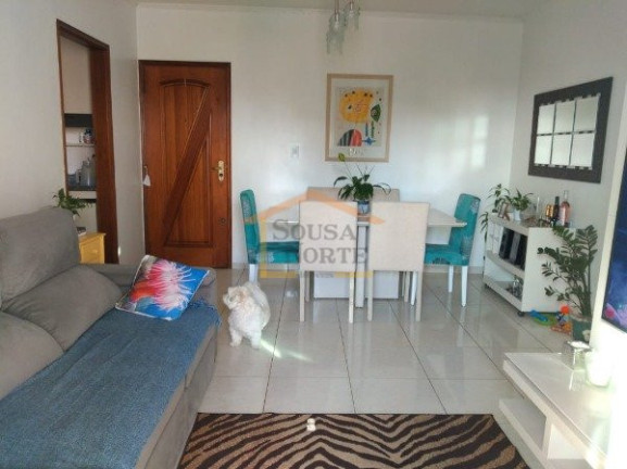 Imagem Apartamento com 3 Quartos à Venda, 100 m² em Vila Paulicéia - São Paulo Imagem Apartamento com 3 Quartos à Venda, 100 m² em Vila Paulicéia - São Paulo