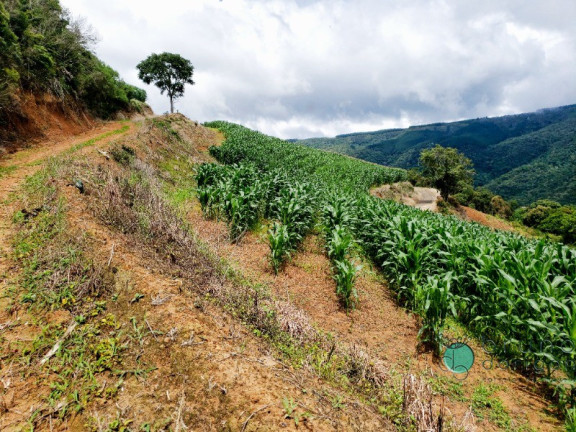 Imagem Imóvel com 1 Quarto à Venda, 60.000 m² em Zona Rural - Alfredo Wagner