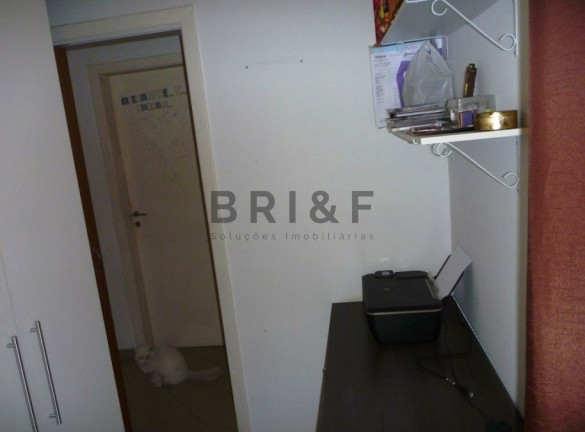 Imagem Apartamento com 3 Quartos à Venda, 76 m² em Vila Mascote - São Paulo