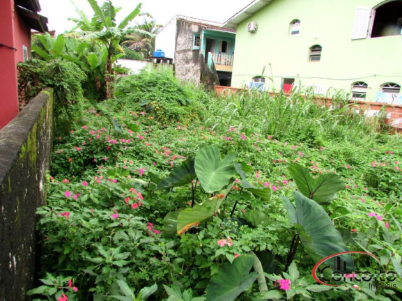 Imagem Terreno à Venda, 300 m² em Estufa Ii - Ubatuba