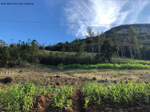Imagem Terreno à Venda, 3 m² em Rua São José Do Cai - Nova Petrópolis Imagem Terreno à Venda, 3 m² em Rua São José Do Cai - Nova Petrópolis