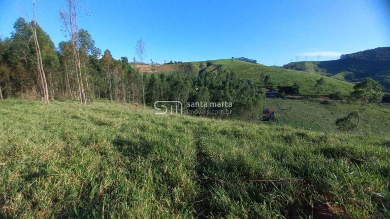 Imagem Imóvel com 2 Quartos à Venda, 266.000 m² em Branco - Lavrinhas